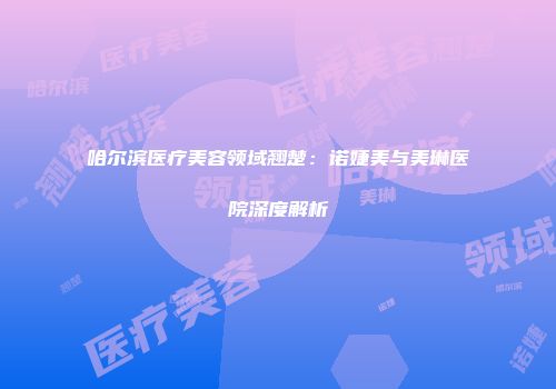 哈尔滨医疗美容领域翘楚：诺婕美与美琳医院深度解析