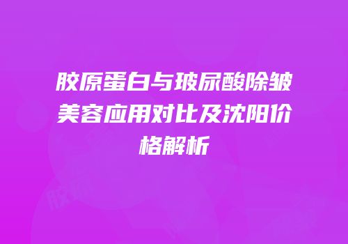 胶原蛋白与玻尿酸除皱美容应用对比及沈阳价格解析