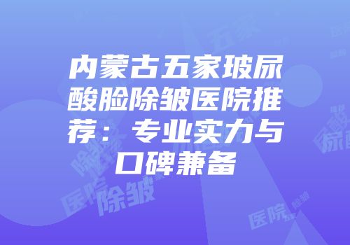 内蒙古五家玻尿酸脸除皱医院推荐：专业实力与口碑兼备