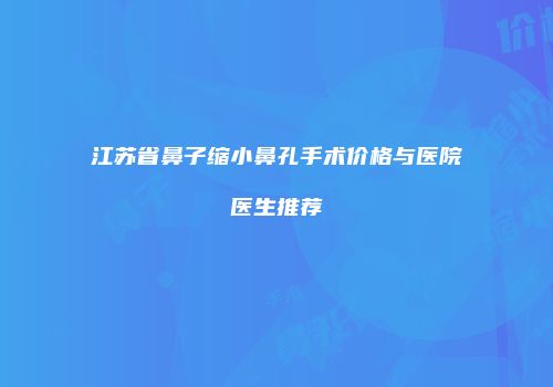 江苏省鼻子缩小鼻孔手术价格与医院医生推荐