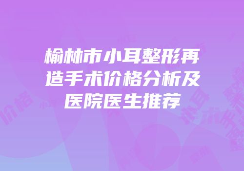 榆林市小耳整形再造手术价格分析及医院医生推荐