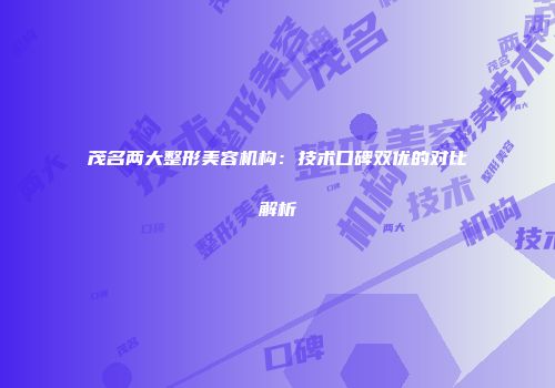 茂名两大整形美容机构：技术口碑双优的对比解析