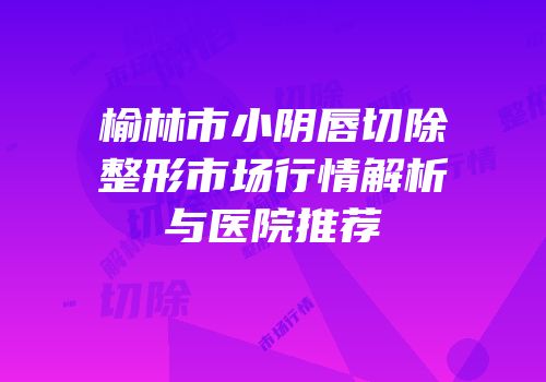 榆林市小阴唇切除整形市场行情解析与医院推荐