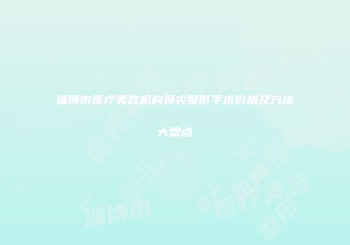 淄博市医疗美容机构鼻尖整形手术价格及方法大盘点