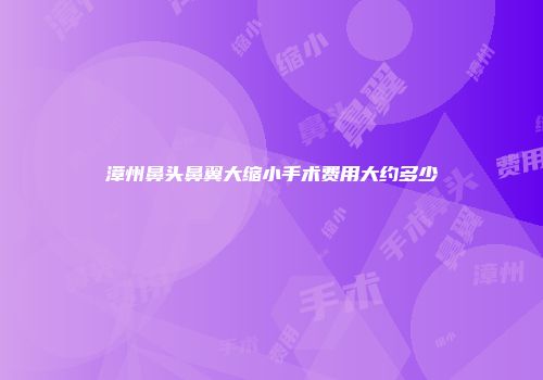 漳州鼻头鼻翼大缩小手术费用大约多少