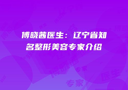 傅晓茜医生：辽宁省知名整形美容专家介绍
