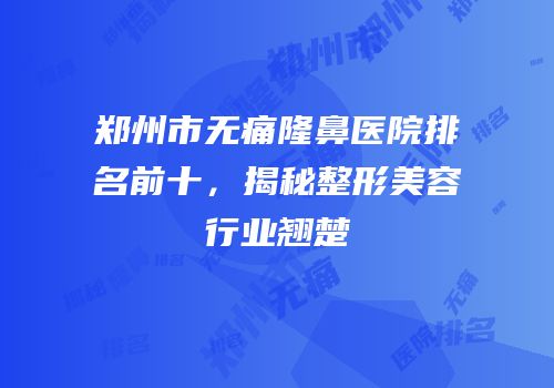 郑州市无痛隆鼻医院排名前十，揭秘整形美容行业翘楚