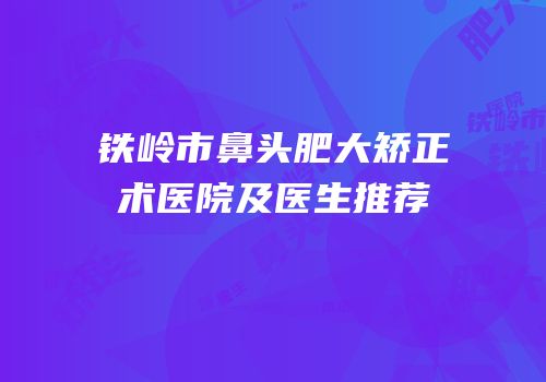 铁岭市鼻头肥大矫正术医院及医生推荐