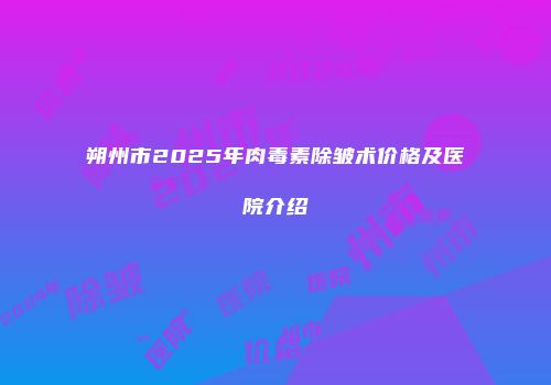 朔州市2025年肉毒素除皱术价格及医院介绍