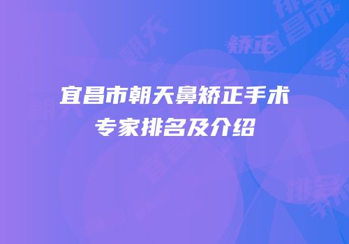 宜昌市朝天鼻矫正手术专家排名及介绍