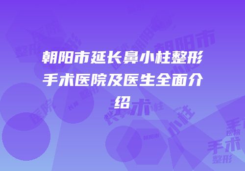 朝阳市延长鼻小柱整形手术医院及医生全面介绍