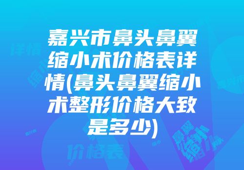 嘉兴市鼻头鼻翼缩小术价格表详情(鼻头鼻翼缩小术整形价格大致是多少)