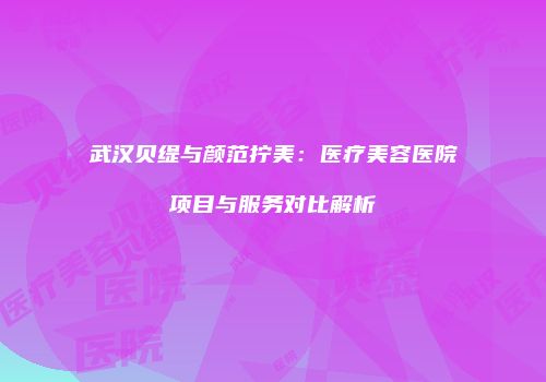 武汉贝缇与颜范拧美：医疗美容医院项目与服务对比解析