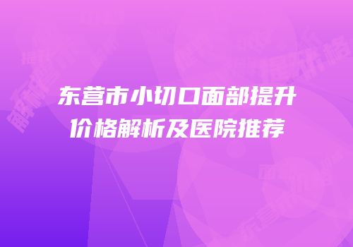 东营市小切口面部提升价格解析及医院推荐