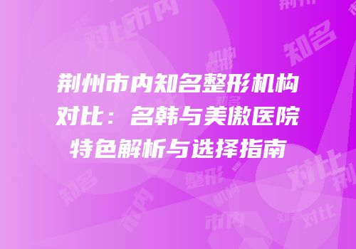 荆州市内知名整形机构对比：名韩与美傲医院特色解析与选择指南