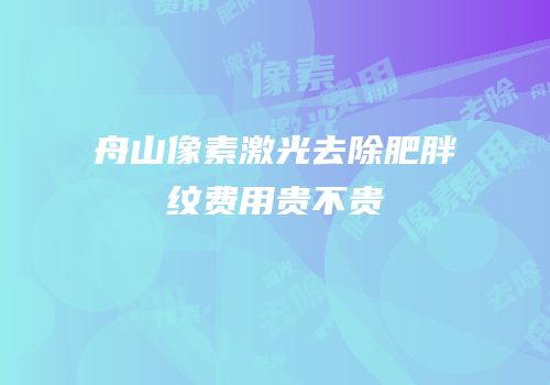 舟山像素激光去除肥胖纹费用贵不贵