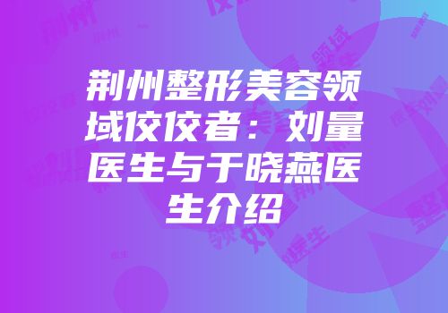 荆州整形美容领域佼佼者：刘量医生与于晓燕医生介绍