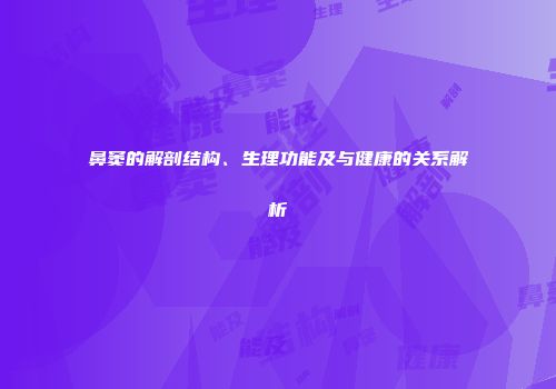 鼻窦的解剖结构、生理功能及与健康的关系解析
