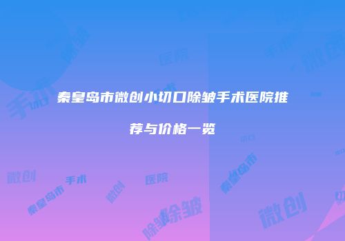 秦皇岛市微创小切口除皱手术医院推荐与价格一览