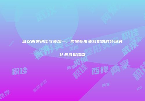 武汉西婵积佳与美加一:两家整形美容机构的特色对比与选择指南