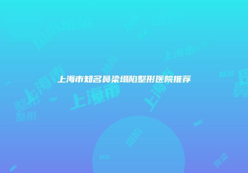 上海市知名鼻梁塌陷整形医院推荐
