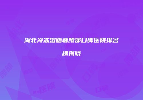 湖北冷冻溶脂瘦腰部口碑医院排名榜揭晓