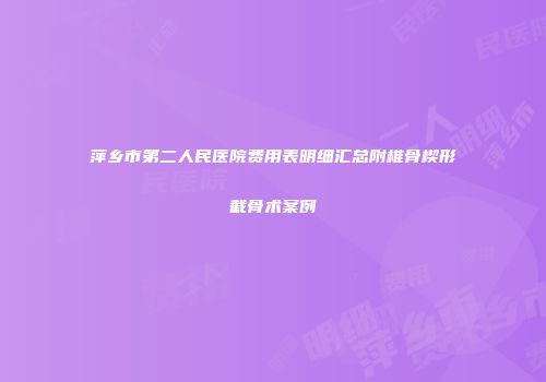 萍乡市第二人民医院费用表明细汇总附椎骨楔形截骨术案例