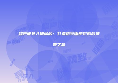 超声波导入玻尿酸：打造精致面部轮廓的神奇之旅