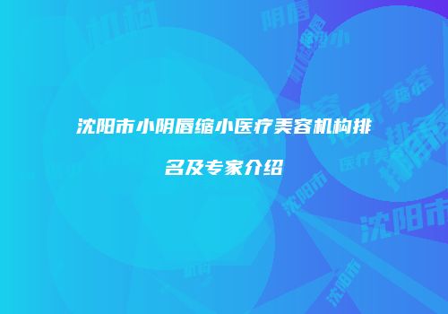 沈阳市小阴唇缩小医疗美容机构排名及专家介绍