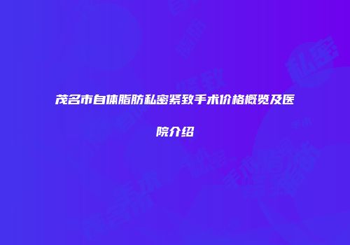 茂名市自体脂肪私密紧致手术价格概览及医院介绍