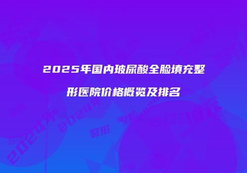 2025年国内玻尿酸全脸填充整形医院价格概览及排名