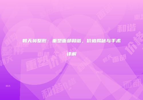 朝天鼻整形：重塑面部和谐，价格揭秘与手术详解