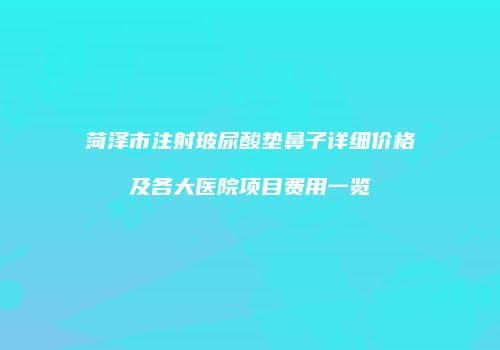 菏泽市注射玻尿酸垫鼻子详细价格及各大医院项目费用一览