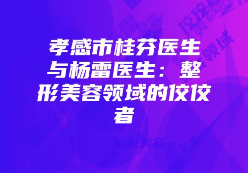 孝感市桂芬医生与杨雷医生：整形美容领域的佼佼者
