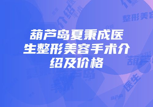 葫芦岛夏秉成医生整形美容手术介绍及价格