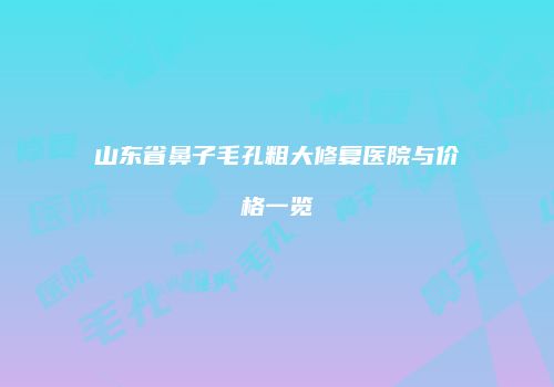山东省鼻子毛孔粗大修复医院与价格一览