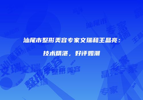 汕尾市整形美容专家文瑞和王晶亮：技术精湛，好评如潮
