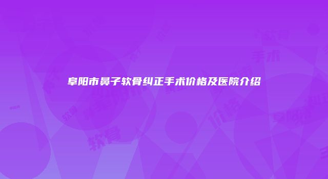 阜阳市鼻子软骨纠正手术价格及医院介绍